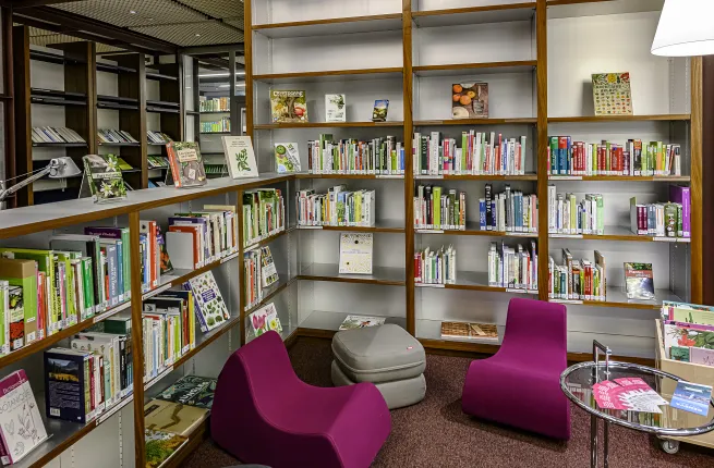Fauteuils de lecture et rayonnages de l'espace libre-accès de la bibliothèque