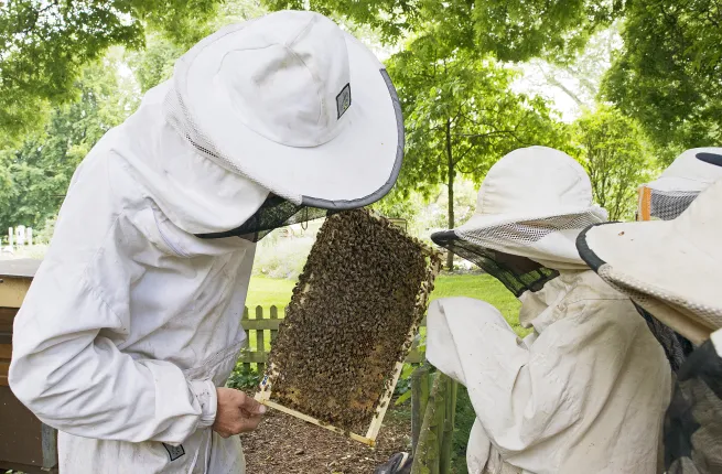 Apiculteur présente ses abeilles à des enfants lors d'un atelier