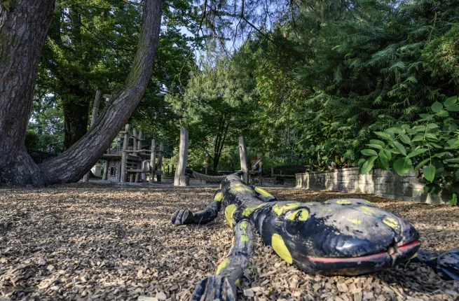 Salamandre en bois dans la place de jeux