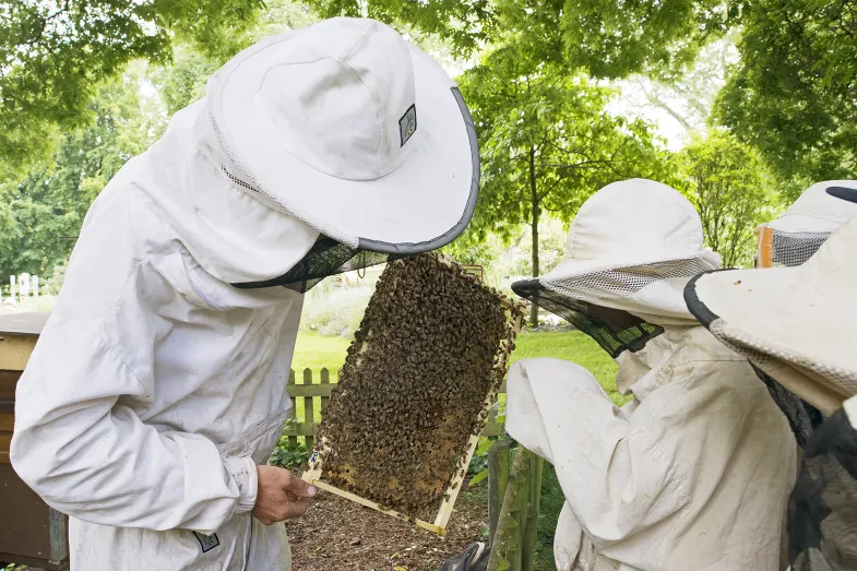 Apiculteur présente ses abeilles à des enfants lors d'un atelier