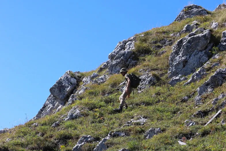 La roche des Alpes, terrain de projets de conservation