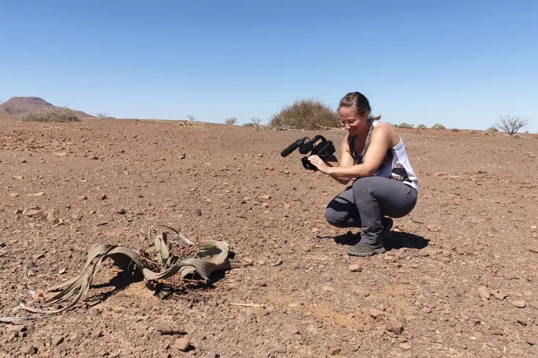 La reporter image Coline Utz filme une plante rare trouvée en Namibie