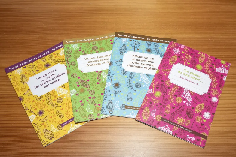 Quatre carnets d'exploration de format A5 et de couleur jaune, vert, bleu et rose, disposés en éventail sur une table