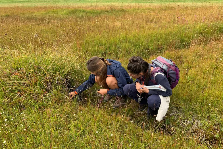 Deux étudiantes accroupies dans un champs et observant des mousses au sol