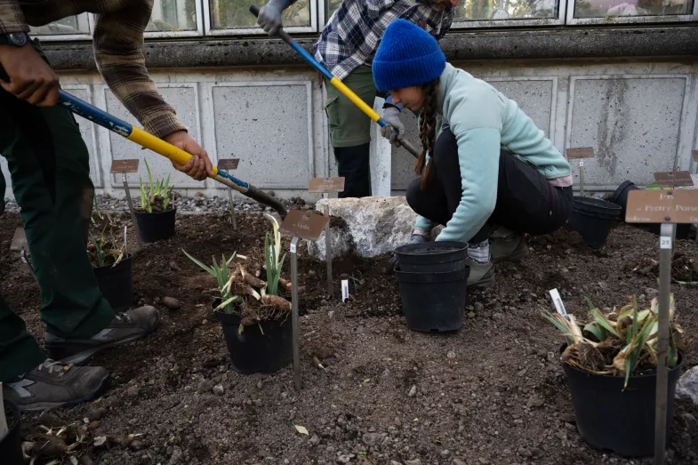 Apprentie en train de planter une jeune plante accompagnée de deux horticulteur