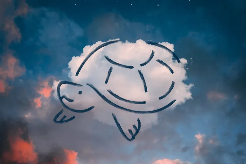 Photo d'un ciel avec un nuage sur lequel la forme d'une tortue a été dessinée