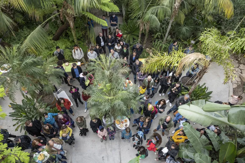 Photo de personnes debout dans la Serre tempérée avec des palmiers, vus d'en haut