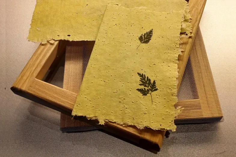 Papier végétal de graminés mixés déposés sur les tamis utilisés pour sa préparation
