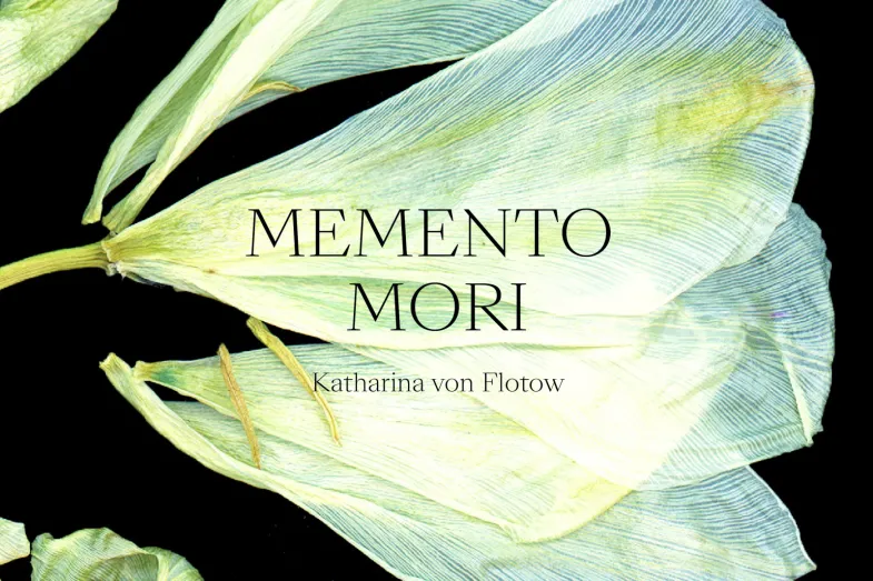 Couverture de l'ouvrage Memento Mori avec une photographie de pétales de tulipes blanches sur fond noir avec le titre du livre et le nom de l'auteure écrits en noir