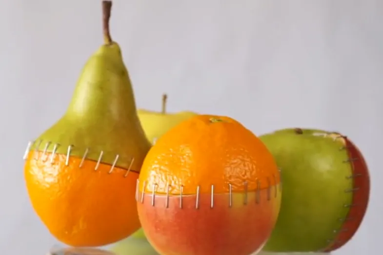 photographie de fruit coupés en deux et réassemblés bizarrement, avec des agraphes