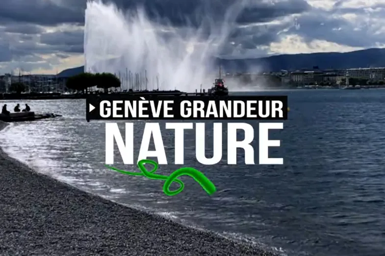 Arrêt sur image du reportage Genève Grandeur Nature de Léman Bleu du 27 décembre 2023 avec en arrière plan le jet d'eau de Genève et le titre de l'émission en premier plan