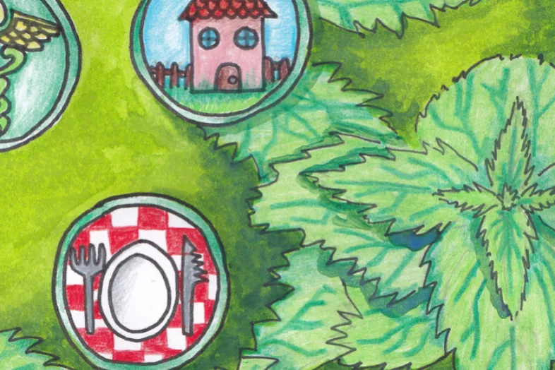 Dessin sur fond vert avec une ortie sur la droite, une assiette rouge et blanche avec fourchette et couteau et une petite maison rose au toit rouge