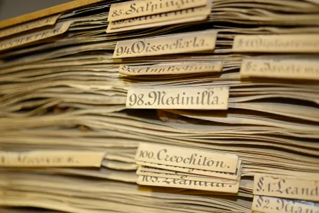 Etiquettes manuscrites dépassant d'une pile de planches