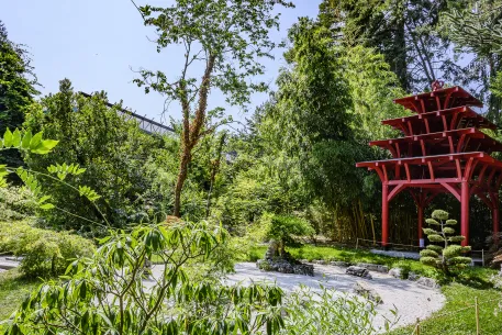 Vue générale du jardin japonais et sa pagode rouge
